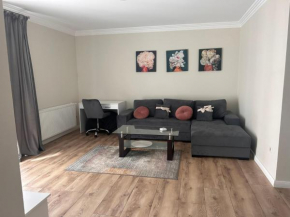 Divany Apartaments Brasov - Coresi Mall